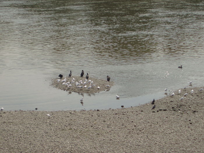 Peace Is An Important Goal Everywhere