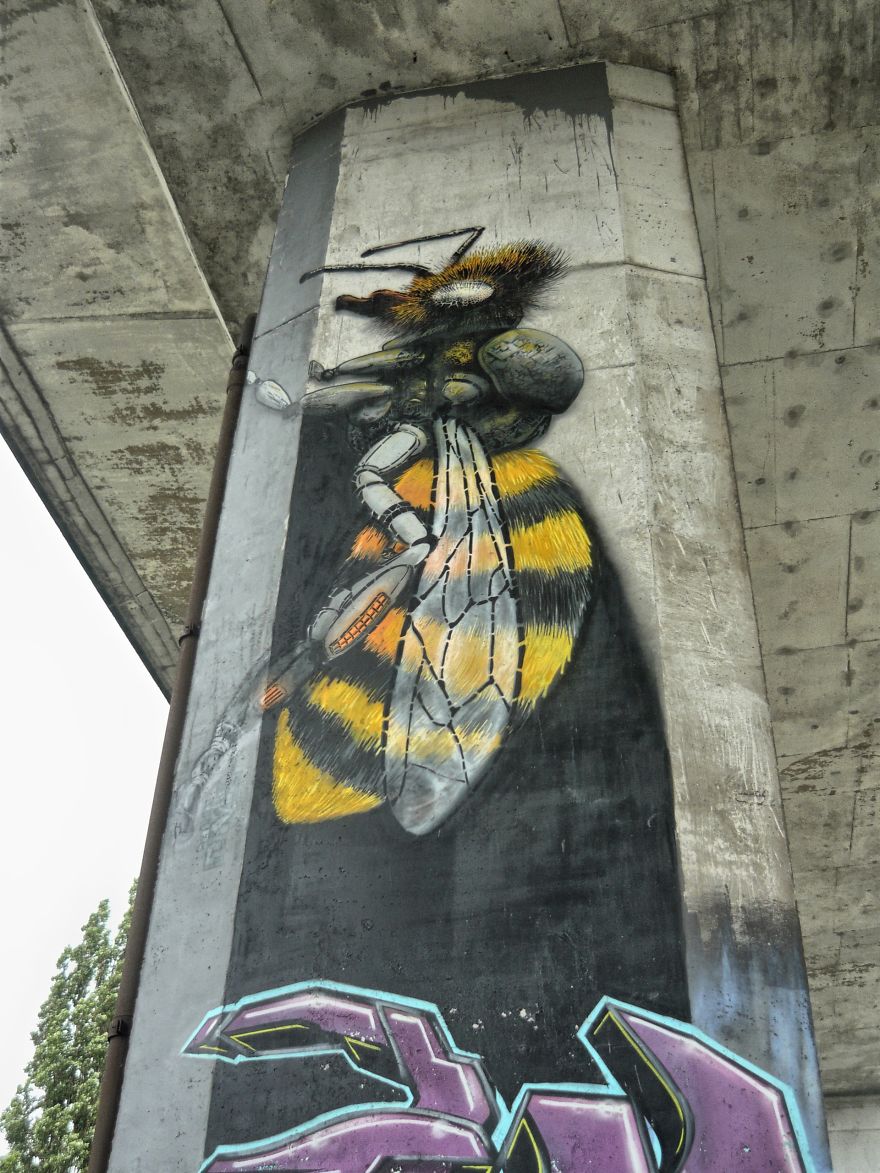 Amazing Street Art In Szczecin, Poland