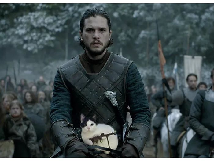 You Know Nothing John Snow.