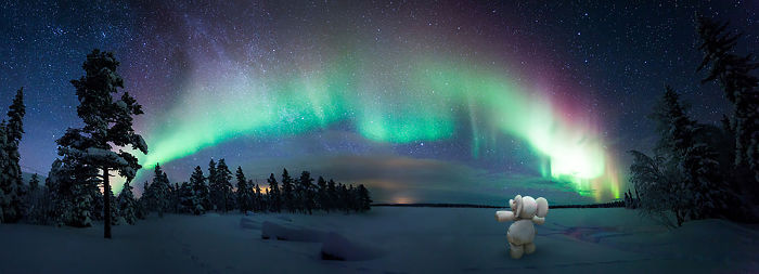 See The Aurora
