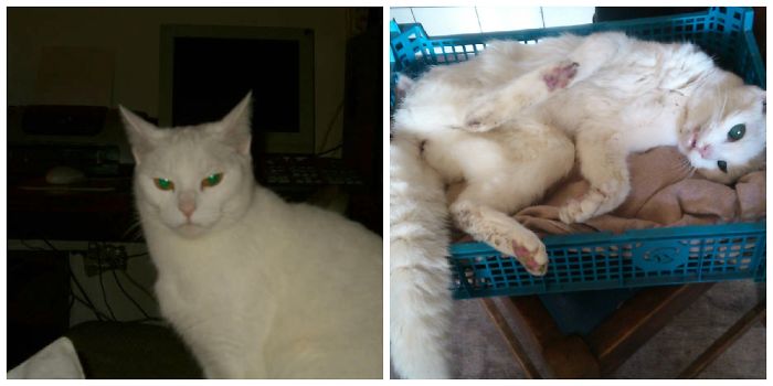 My Best Deaf Girlfriend For 24 Years-1