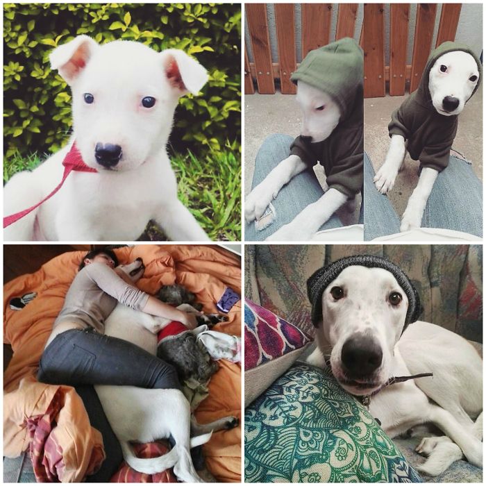 We Adopted A Tiny Polar Bear Who Became A Big Pony.