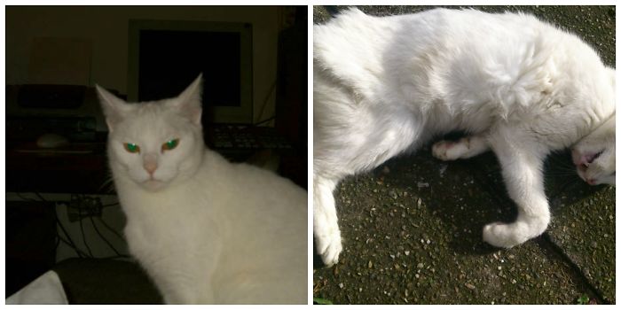 She Was My Best Deaf Girlfriend For 24 Years.