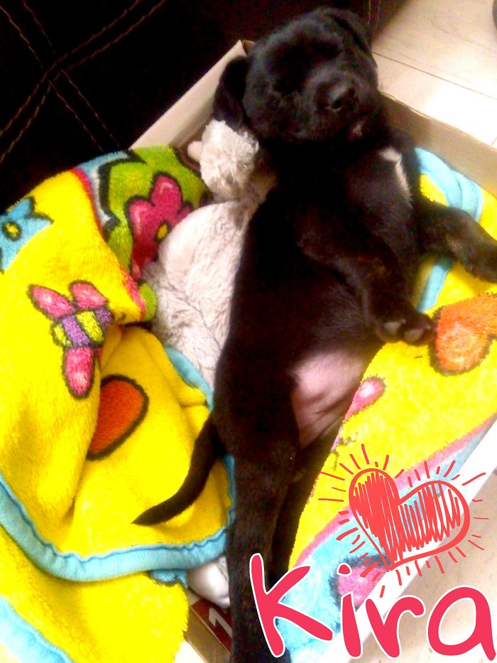 Kira (aka Sleeping Beauty) Her First Day At Home!!!