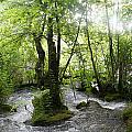 Plitvice-578355cd05f82.jpg