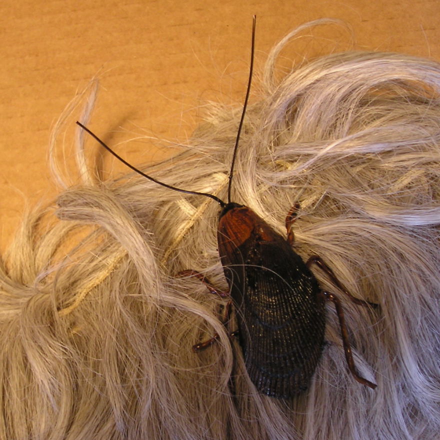 Roach Clips Here !....they're Not What You Think