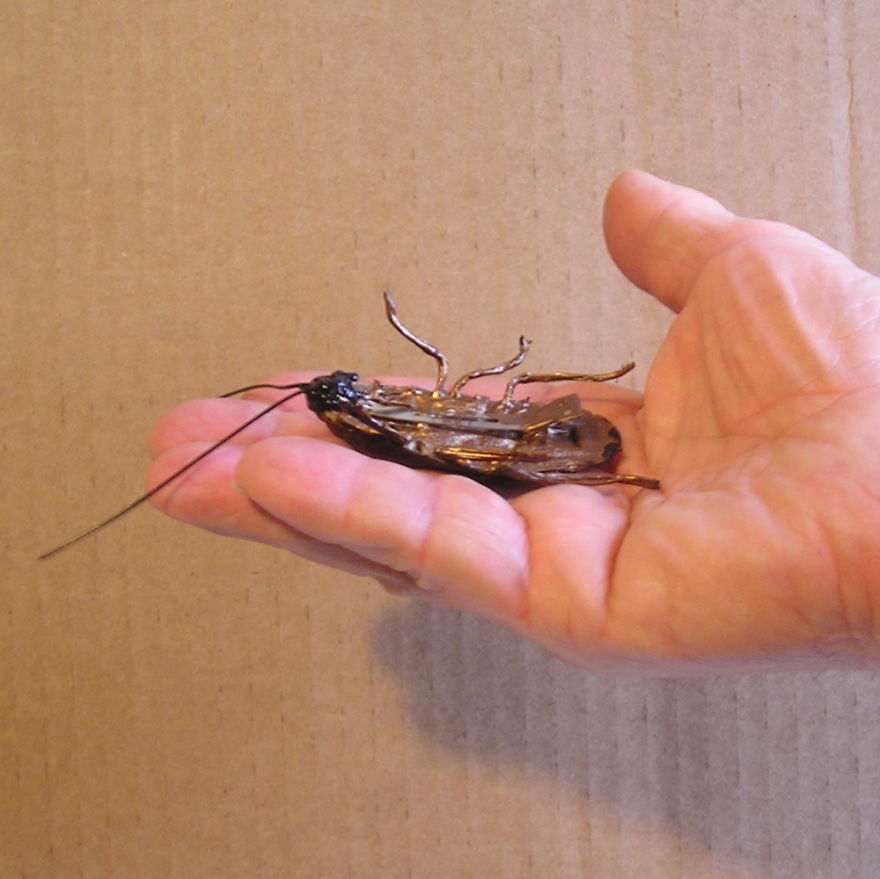 Roach Clips Here !....they're Not What You Think