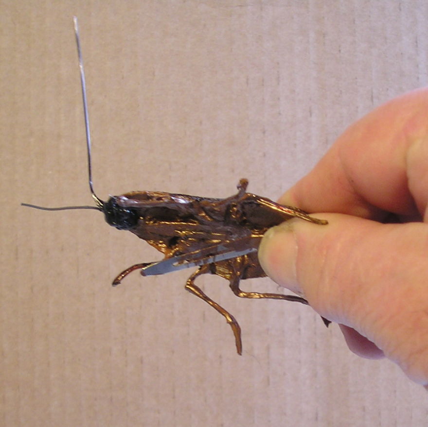 Roach Clips Here !....they're Not What You Think