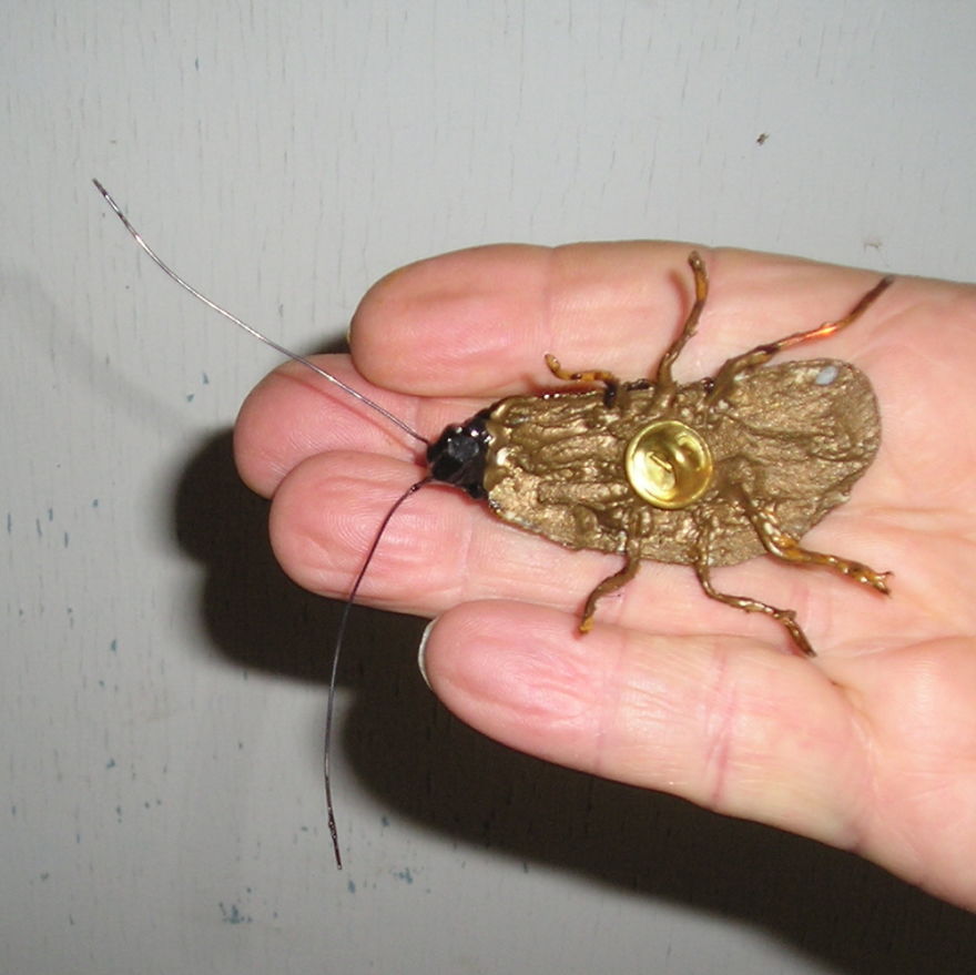 Roach Clips Here !....they're Not What You Think Roach Clips Here !....they're Not What You Think