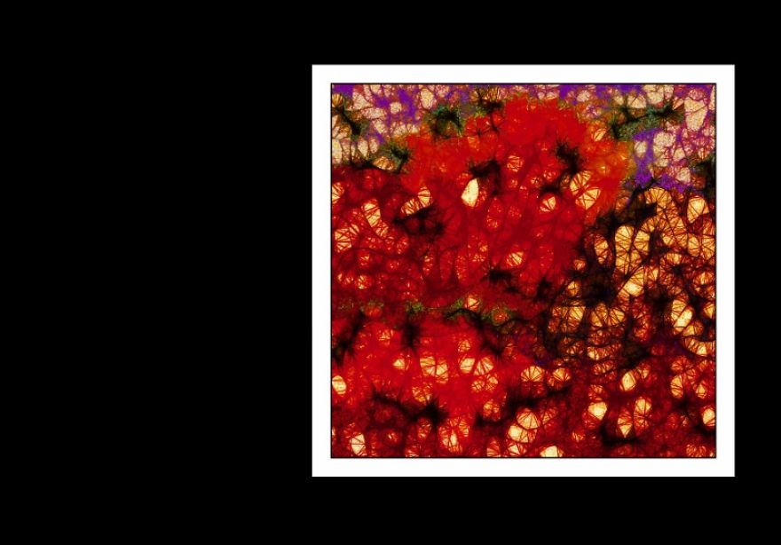 I Take My Doodles And Create Colourful Art