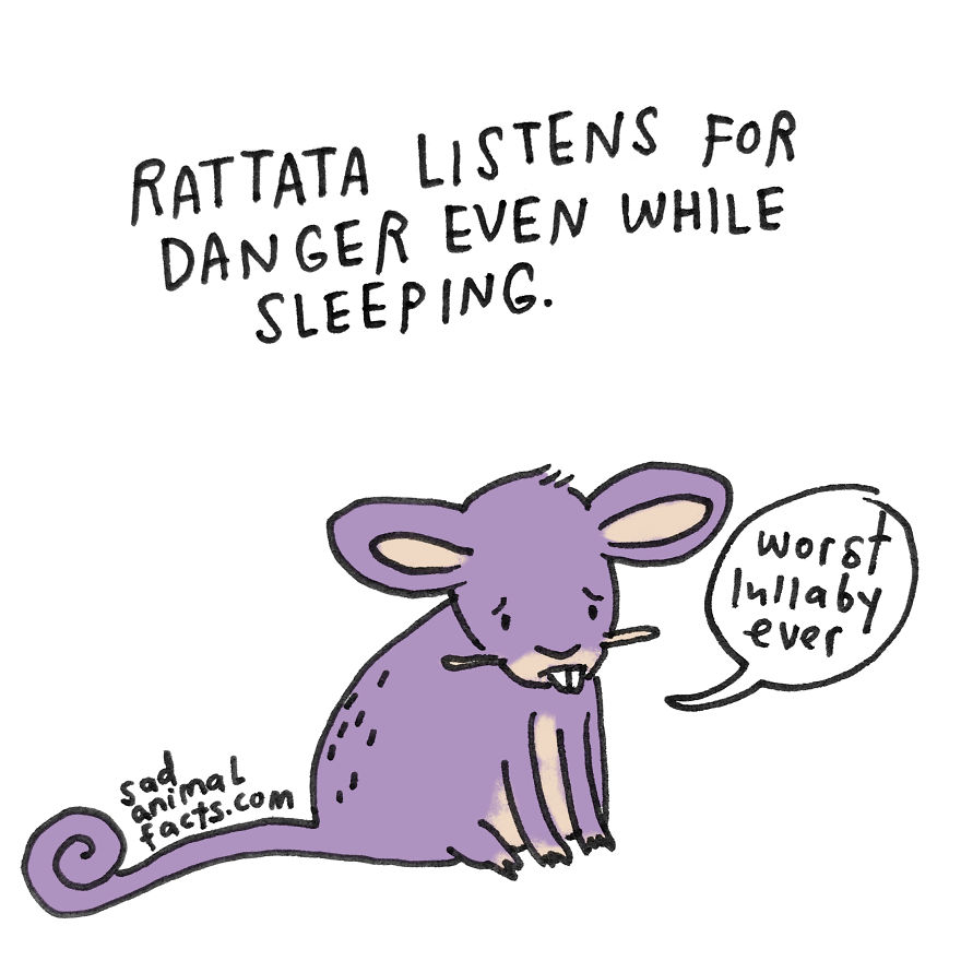Depressing secret of your favorite Pokemon: Rattata listens for danger while sleeping, shown with a sad expression.