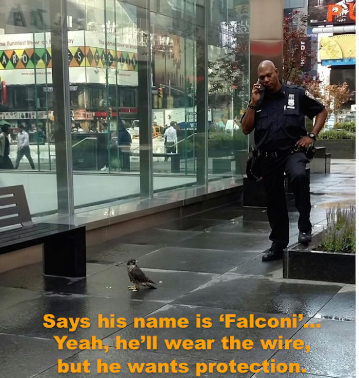 Origins Of A Mafia Rat...