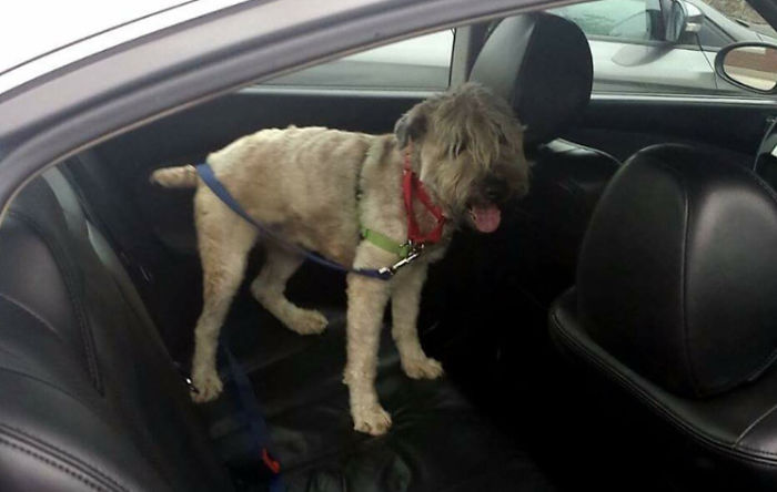 Take Me Home, I'm Yours!