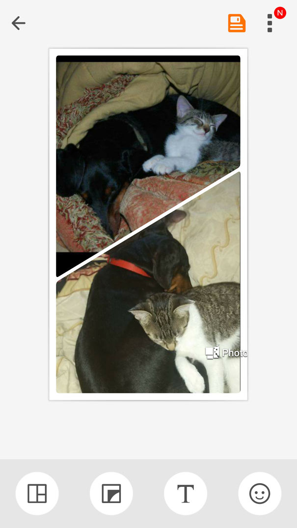 Going Strong For Four Years