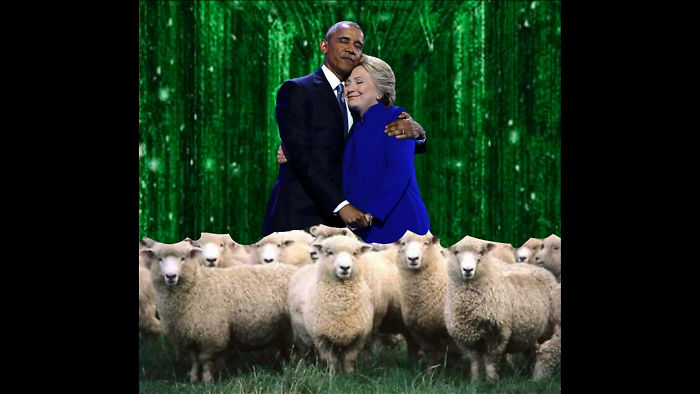 Follow The White Rabbit.