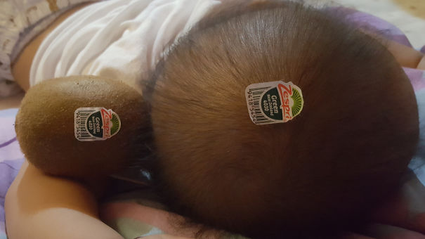 When Wife Is Not Home And Nothing To Eat. Time For A Big Kiwi