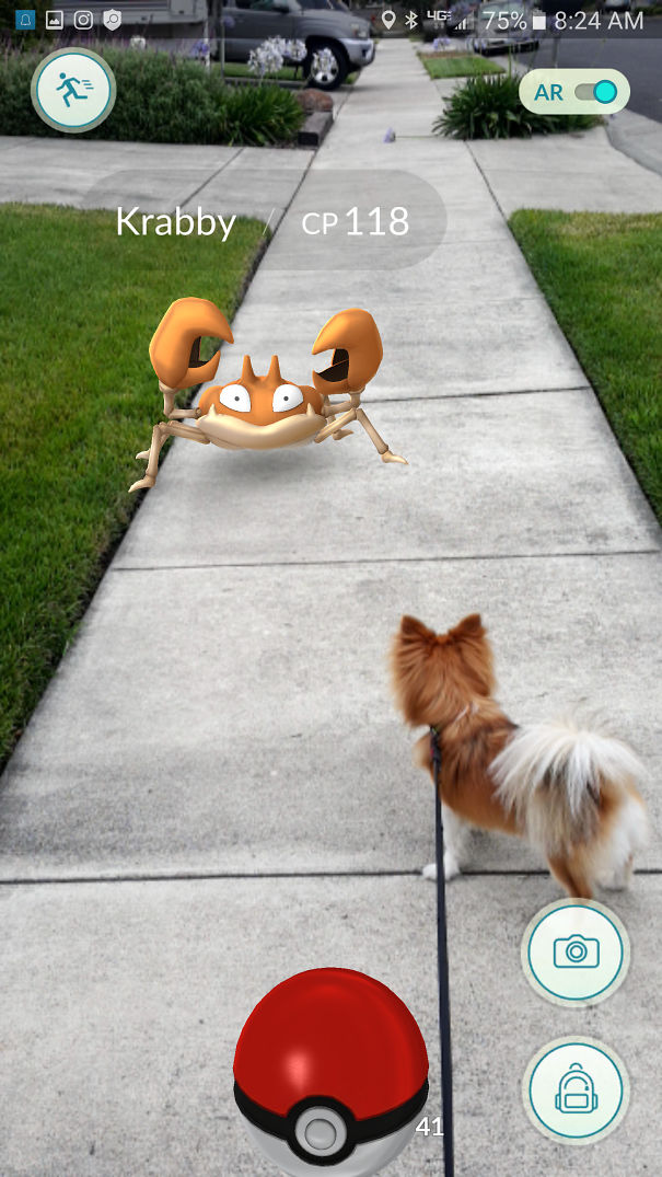 Dog encountering a Krabby in Pokémon Go on a sidewalk, showing pets interacting with game characters.