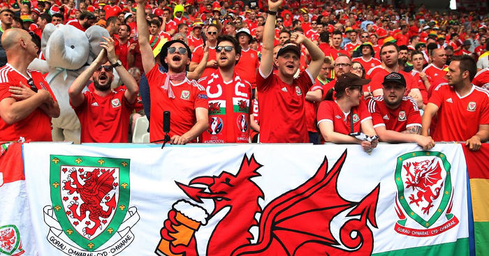 Look, He's At Euro 2016!