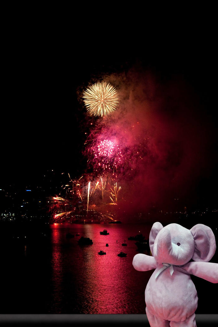 Fireworks Wellington, New Zealand