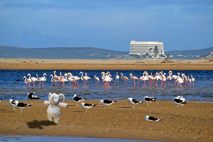 Plettenberg Bay South Africa, Playing On The Beach!