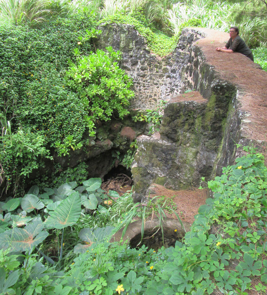 The Old Sugar Mill Landing In Honokaa, Hawaii 1850 To 1920