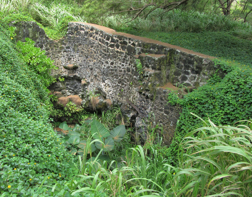 The Old Sugar Mill Landing In Honokaa, Hawaii 1850 To 1920