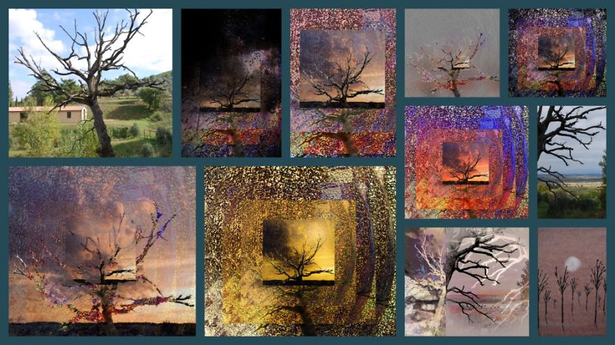 I Made A Healing Art Video About The Life Of A Tree I Made A Healing Art Video About The Life Of A Tree