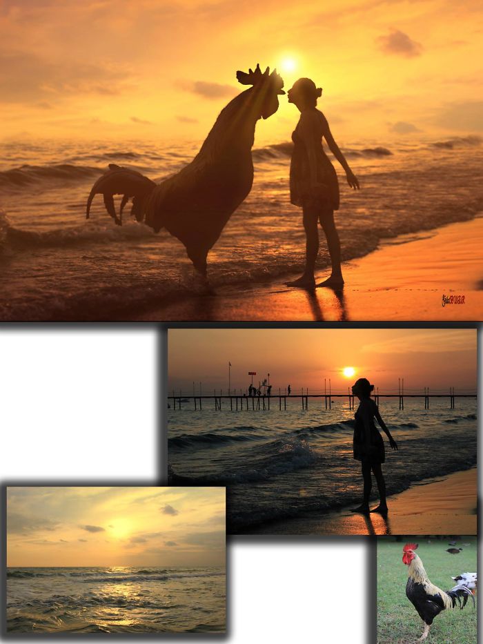 Tale.. But Not A Frog..