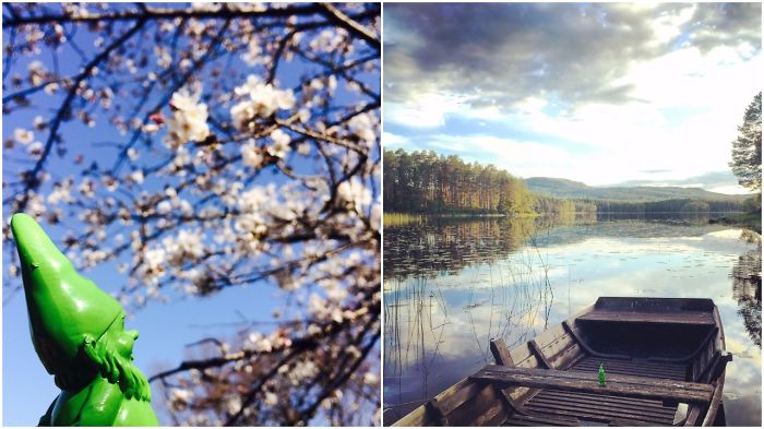 This Cheerful Gnome Is Travelling The World And He'll Make You Want To Travel Too