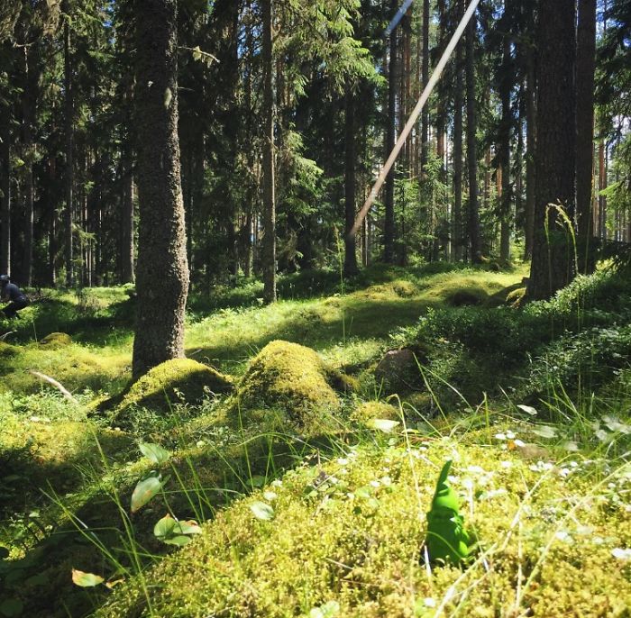 This Cheerful Gnome Is Travelling The World And He'll Make You Want To Travel Too This Cheerful Gnome Is Travelling The World And He'll Make You Want To Travel Too