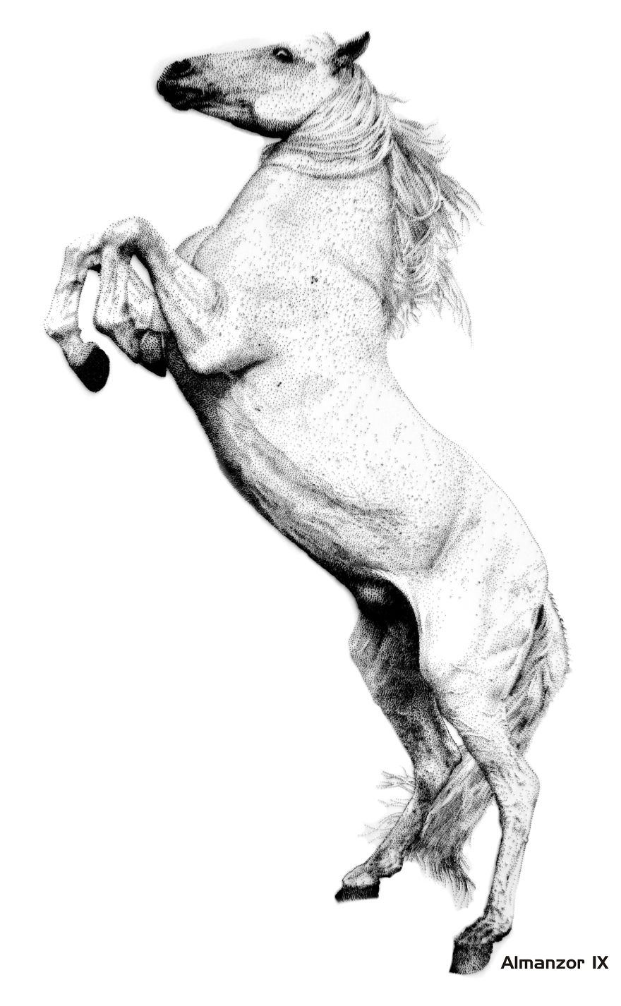 Sculptures That I Created With Hundreds Of Thousands Of Nails