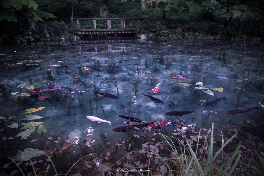 'Monet's Pond' In Japan That Looks Like Monet's Paintings