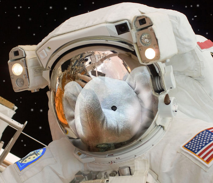 The Iss Is 'out Of This World'!