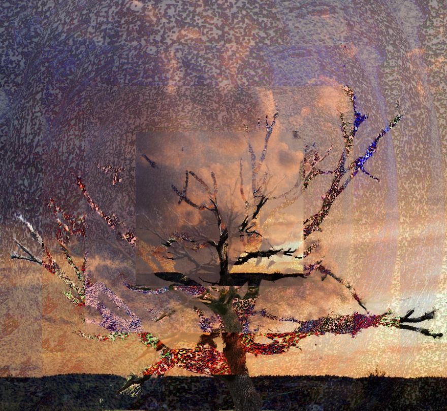 I Made A Healing Art Video About The Life Of A Tree