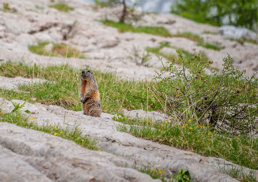 I Photographed A Picturesque Triglav Lakes Valley I Photographed A Picturesque Triglav Lakes Valley