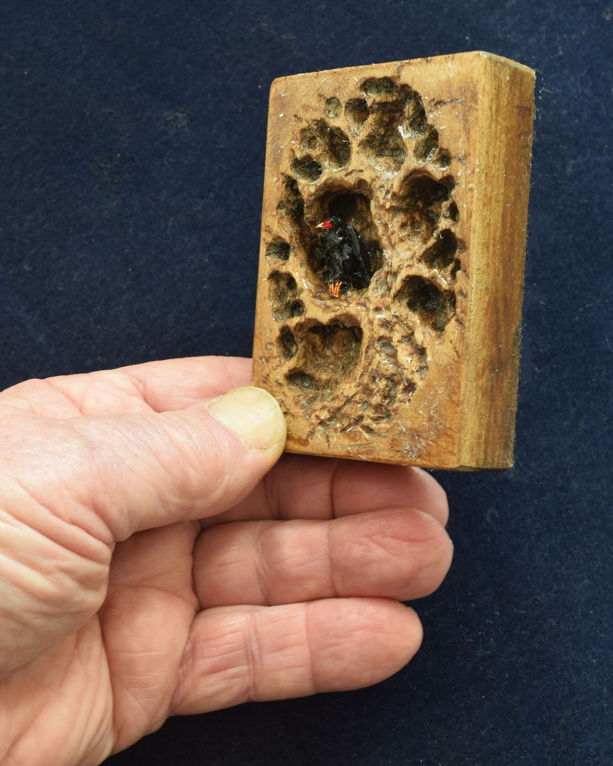 Vulture Sculptures Created By Using Personally Scavenged Natural Matter