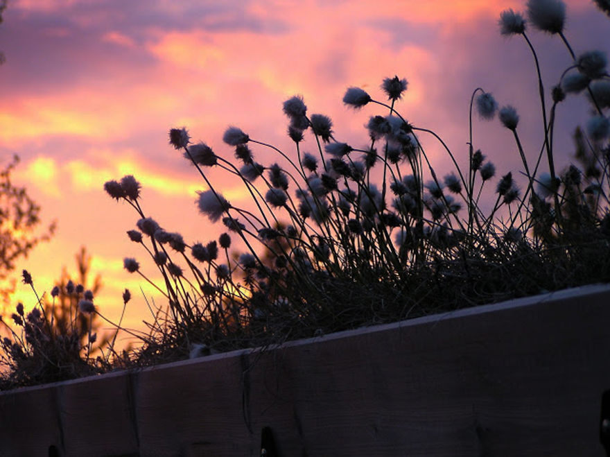 We Are Building A Medieval Village In The Remote Forests Of Norway, Because We Dare To Dream