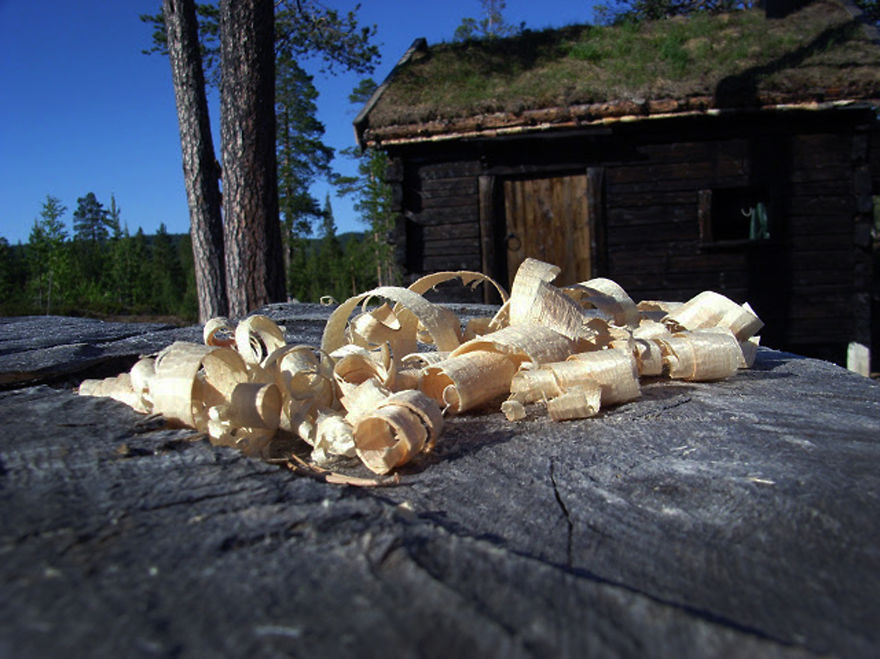 We Are Building A Medieval Village In The Remote Forests Of Norway, Because We Dare To Dream