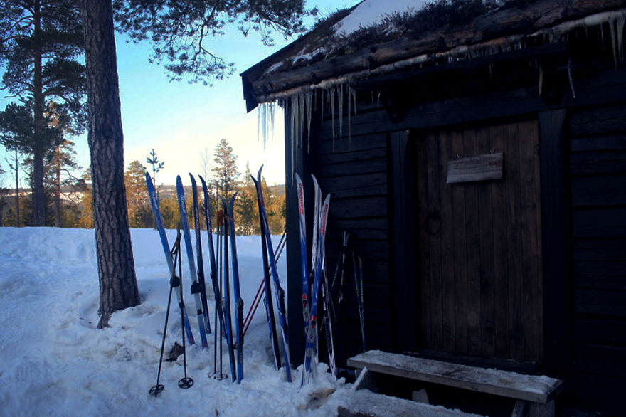 We Are Building A Medieval Village In The Remote Forests Of Norway, Because We Dare To Dream