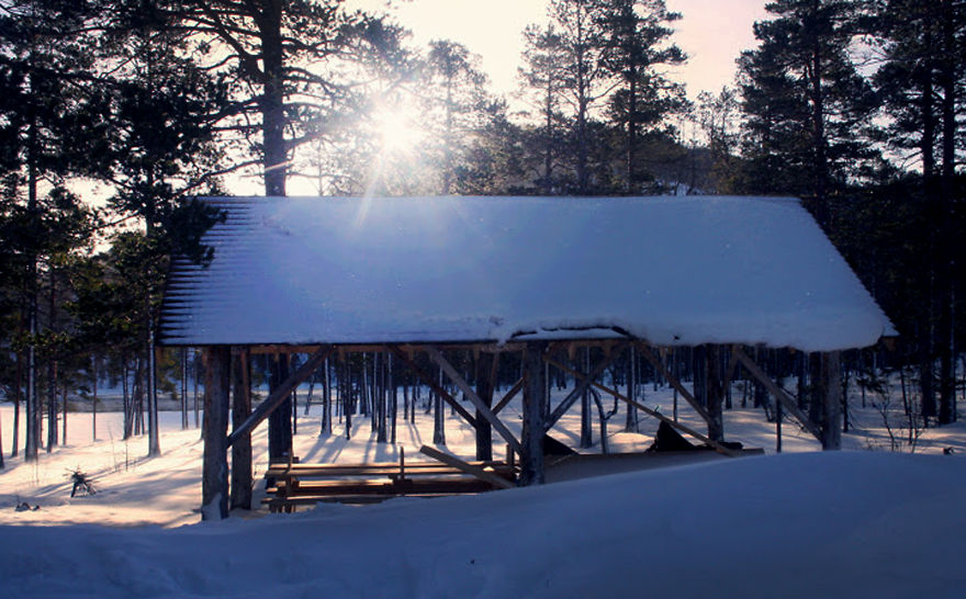 We Are Building A Medieval Village In The Remote Forests Of Norway, Because We Dare To Dream