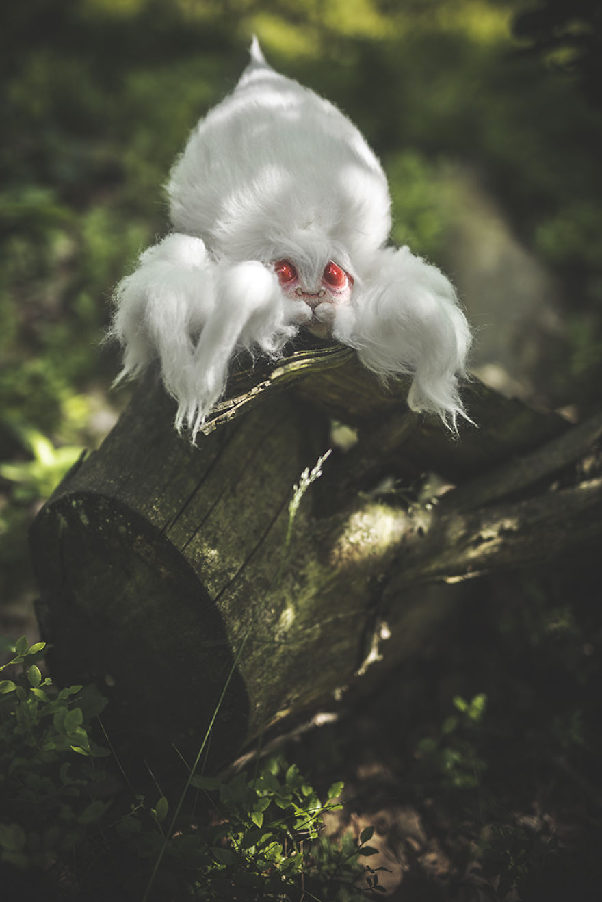 We Found New Species In Our Garden