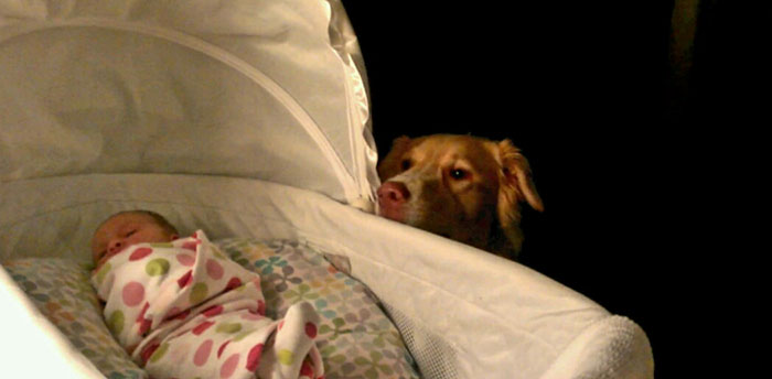 abandoned-dog-adopted-girl-friends-justin-emmy-1