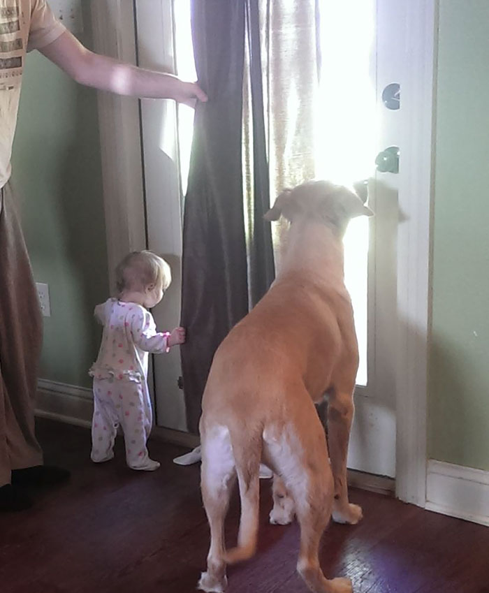 abandoned-dog-adopted-girl-friends-justin-emmy-13