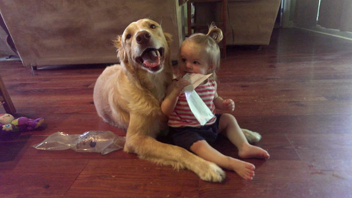 abandoned-dog-adopted-girl-friends-justin-emmy-18