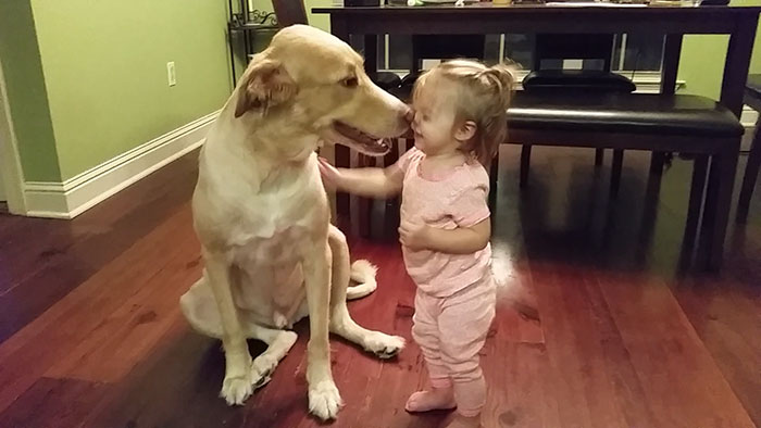 abandoned-dog-adopted-girl-friends-justin-emmy-2