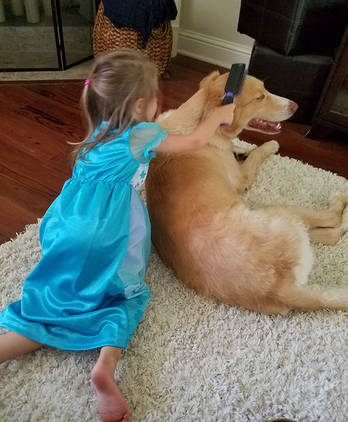 abandoned-dog-adopted-girl-friends-justin-emmy-23