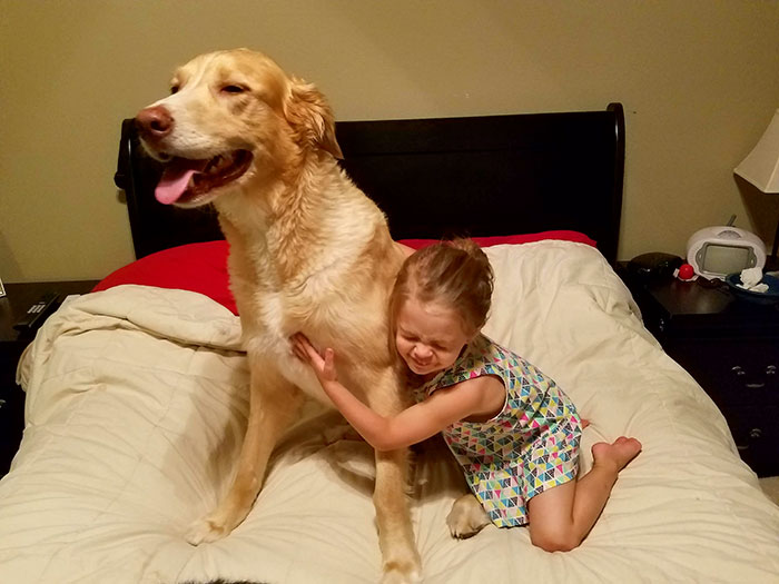 abandoned-dog-adopted-girl-friends-justin-emmy-5