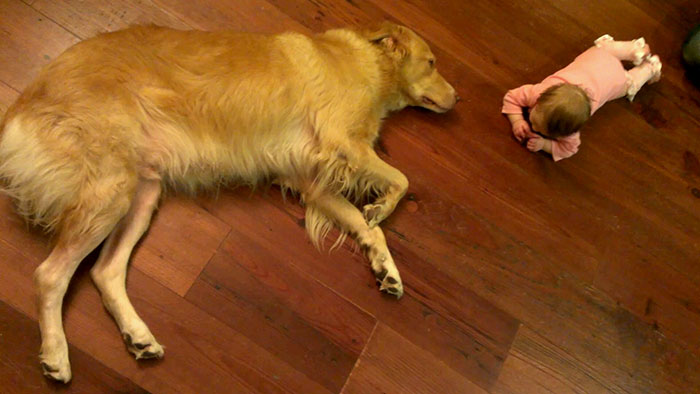 abandoned-dog-adopted-girl-friends-justin-emmy-6