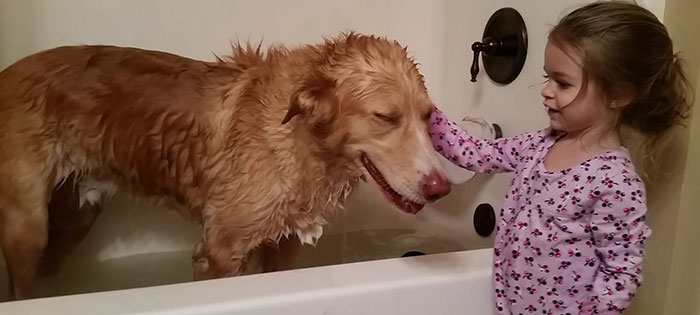 abandoned-dog-adopted-girl-friends-justin-emmy-7