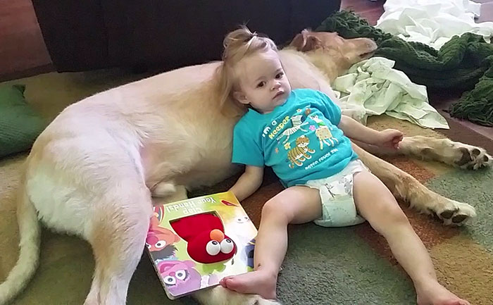 abandoned-dog-adopted-girl-friends-justin-emmy-8